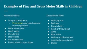 Fine vs. Gross Motor Skills Google Slides Notes for Child Development