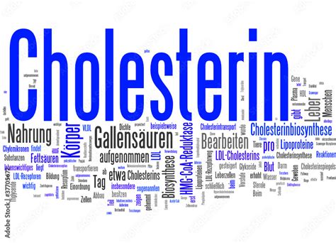 Cholesterin Stock Vector Adobe Stock