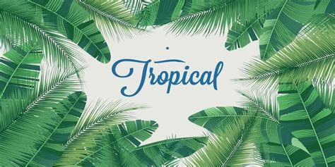 Amazon Aofoto X Ft Vinyl Tropical Party Backdrop Summer Hawaii