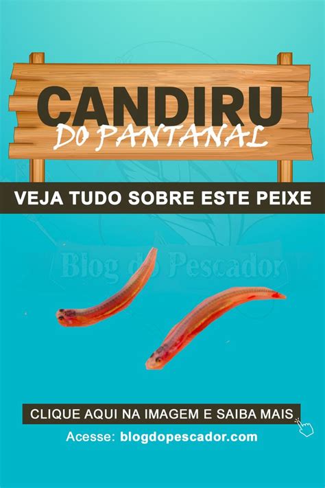 Candiru Do Pantanal Saiba Tudo Sobre Este Peixe Peixes Tudo Sobre