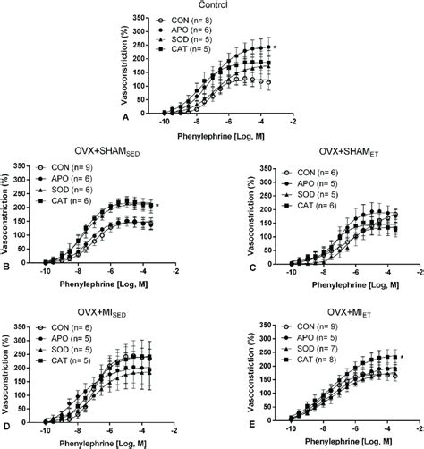 Concentration Response Curves To Phenylephrine After Incubation With