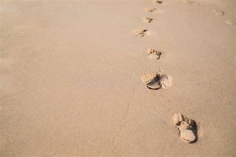 Passos Na Praia Arenosa Foto De Stock Imagem De Areia 160991360