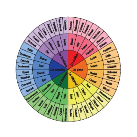 La Roue Des émotions