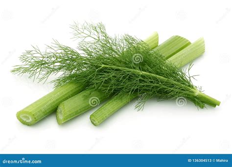 Fresh Fennel Stems and Leaves Stock Image - Image of background ...