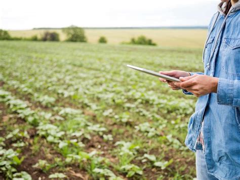 El Ministerio Propone Aplazar A Septiembre De El Cuaderno Digital