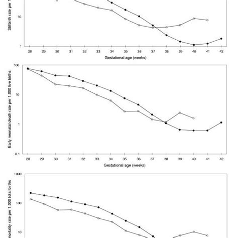 Stillbirth Early Neonatal Death And Perinatal Mortality Rates Among