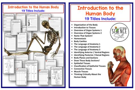 Amy Brown Science Human Body Interactive Notebook Pages A Teaching