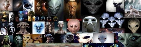 ufo ufology alien species