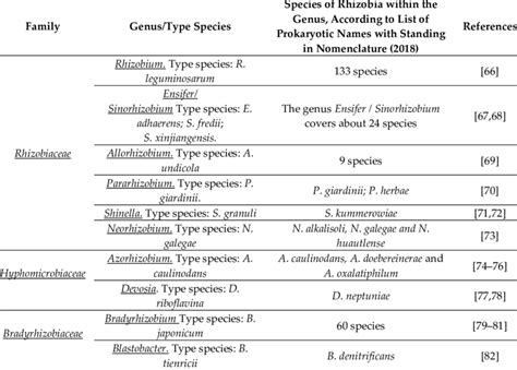 Classification and number of species of bacteria identified as rhizobia ...