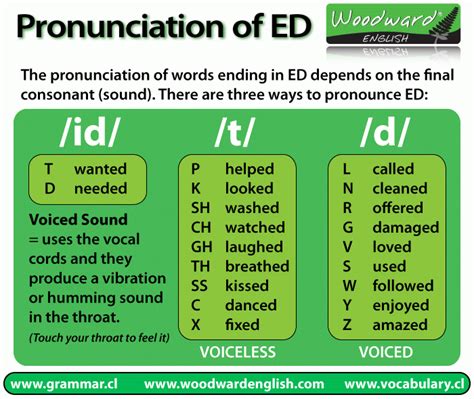 Basic Ii Pronunciation Of Past Tense In Regular Verbs