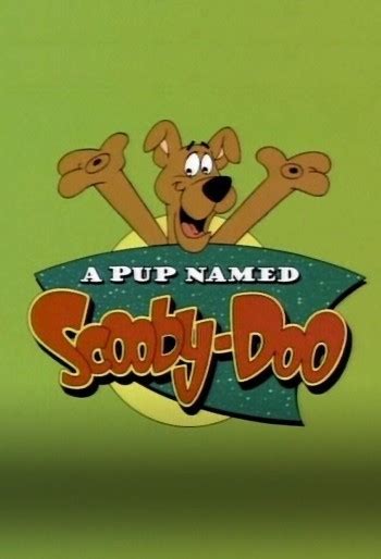 A Pup Named Scooby Doo The Complete Series Seasons With 27 Episodes On Blu Ray Discs In 720p Hd