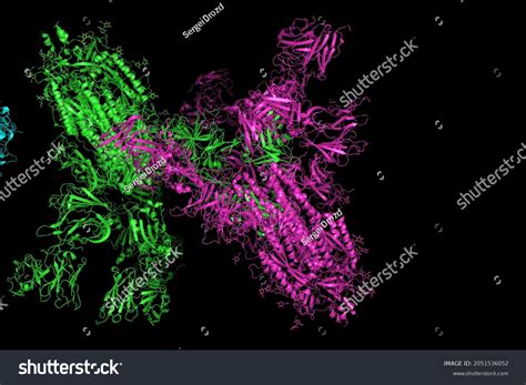 Sarscov2 Spike Glycoprotein Structure Complex Protein Stock ...