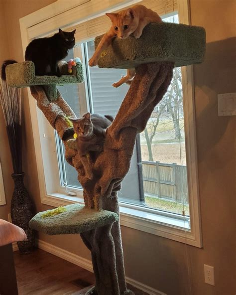 Custom Cat Cribs Cat Cribs Custom Cat Furniture Cat Furniture Custom Cat