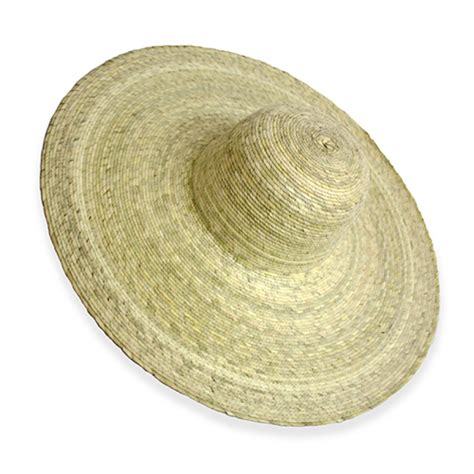 Sombrero Ala Grande Natural