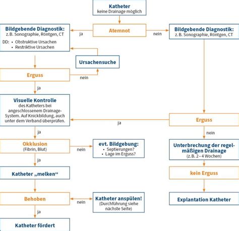 ewimed Katheter und Drainage Systeme Anspülen des Katheters