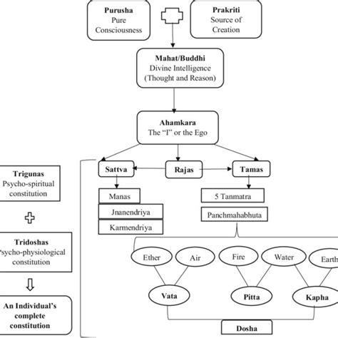 Samkhya System Model Of Creation Download Scientific Diagram