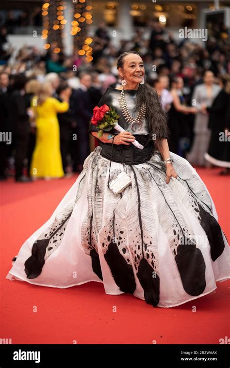 Tantoo Cardinal Poses For Photographers Upon Arrival At The Premiere Of