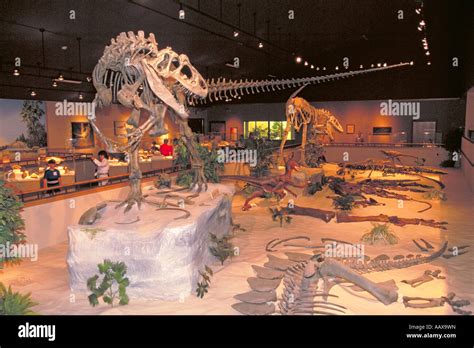 Dakota dinosaur museum hi-res stock photography and images - Alamy