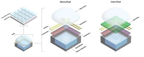 Introduction To Image Sensors LUCID Vision Labs