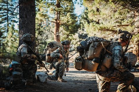 Dvids Images Marines French Th Mountain Infantry Brigade