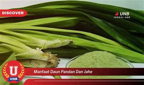 Ketahui 6 Manfaat Daun Pandan Dan Jahe Yang Bikin Kamu Penasaran