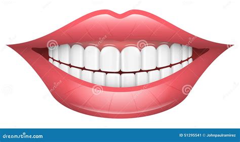 Smile, Lips, Mouth, Teeth Stock Vector - Image: 51295541