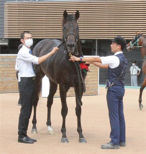 【中山4r・2歳未勝利】5番人気のレッドヴェロシティが直線抜け出し初v 北村宏「馬がいい方に変わってくれた」 Umatoku 馬トク