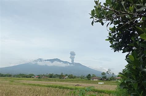 Gunung Marapi Meletus Dentumannya Bikin Warga Agam Berhamburan