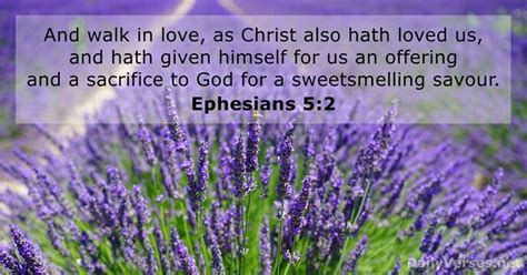 Ephesians 5:2 - Bible verse (KJV) - DailyVerses.net