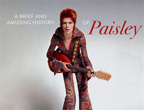 A Brief and Amusing History of Paisley - Suzy Quilts