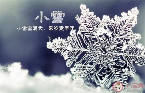 二十四节气小雪朋友圈文案说说 二十四节气小雪祝福语句子大全 八宝网