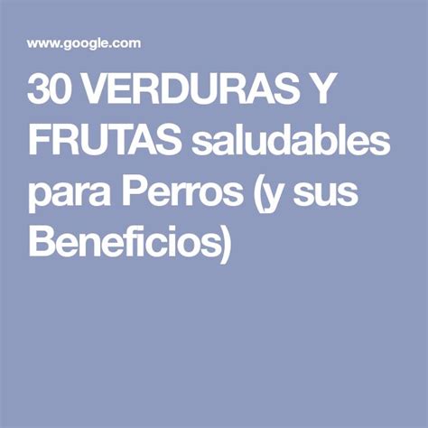 Estas Son Las 15 Mejores Frutas Para Dar A Tu Perro