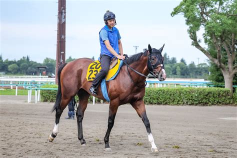 【播磨の日曜競馬コラム・七夕賞】 日刊ゲンダイ競馬