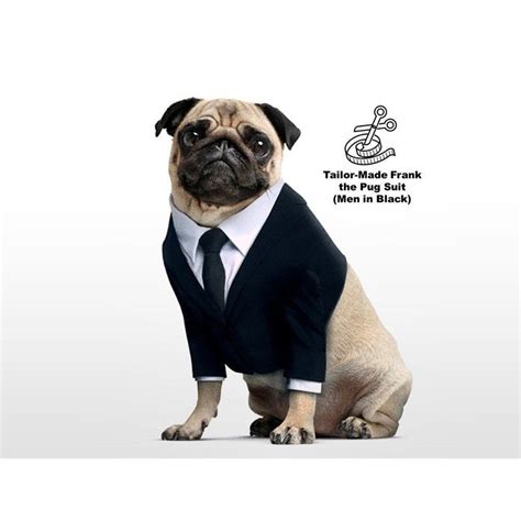 Tailor Made Black Suit, Crop Black Suit and Tie, Frank the Pug, Men Black Dog Costume, Classic ...