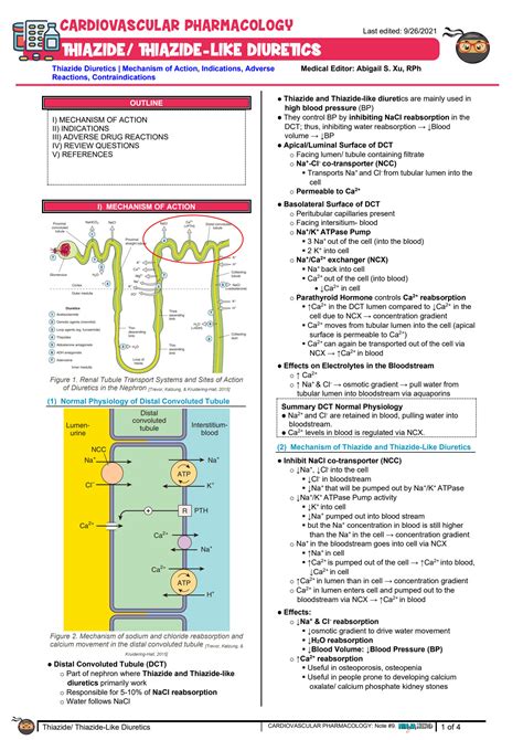 Solution Cardiovascular Pharmacology Thiazide Diuretics Mechanism