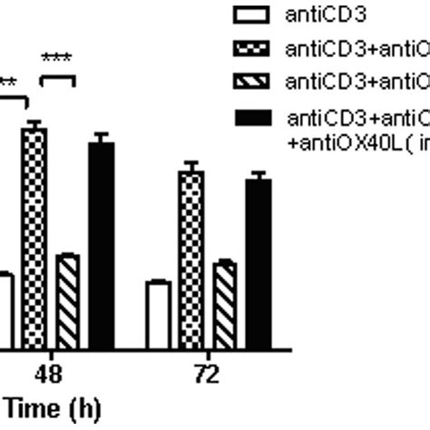 The Proliferation Of Lymphocytes After Interfered Ox40 Ox40l