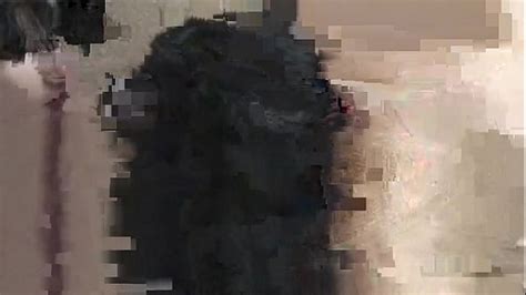 Vintage Gay Oral Sex Photos New Model Kayden Spike Gets A Fine XNXX