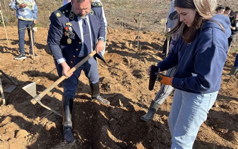 Reflorestar Urgente De Mar O De Eco Escolas Ese Cod De