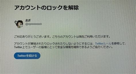 「ツイッターが永久凍結された話」を更新予定でしたが疲れて少しだけ更新してあとは明日にしておきますとりあえず🎮ゲーム垢がロック解除になりまし