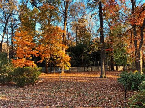 Beautiful Autumn Backyard Mostbeautiful