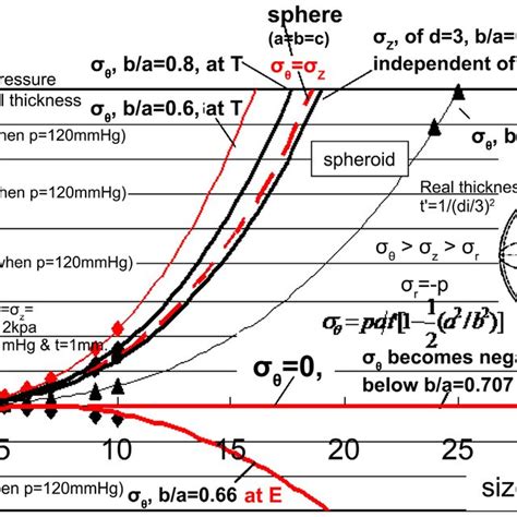 The Relationship Between True Stress σ θ And σ Z Of Arterial Wall