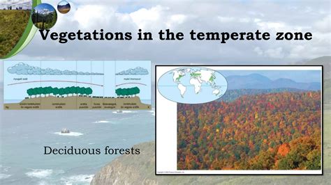 The temperate zone | PPT