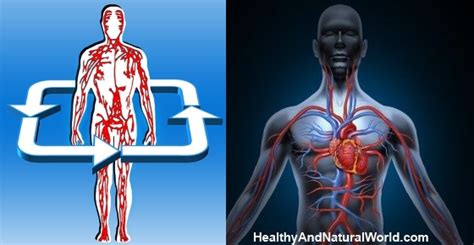 14 Warning Signs That You Have Poor Blood Circulation