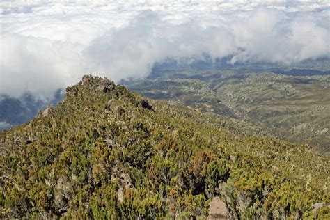 Climbing Kilimanjaro Along The Machame Route 6 Days In Pictures