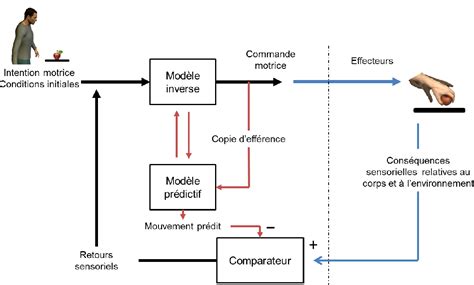 Figure From Utilisation De L Apprentissage Moteur Implicite Comme