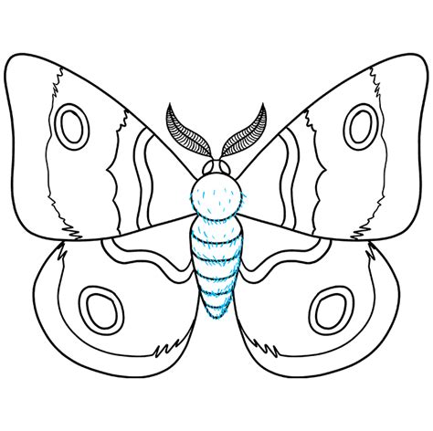 How To Draw A Moth Really Easy Drawing Tutorial