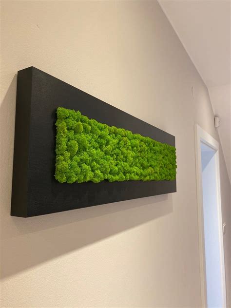 Moos Wand Gr Ne Wandkunst Konserviertes Moos Etsy De Green Wall Art