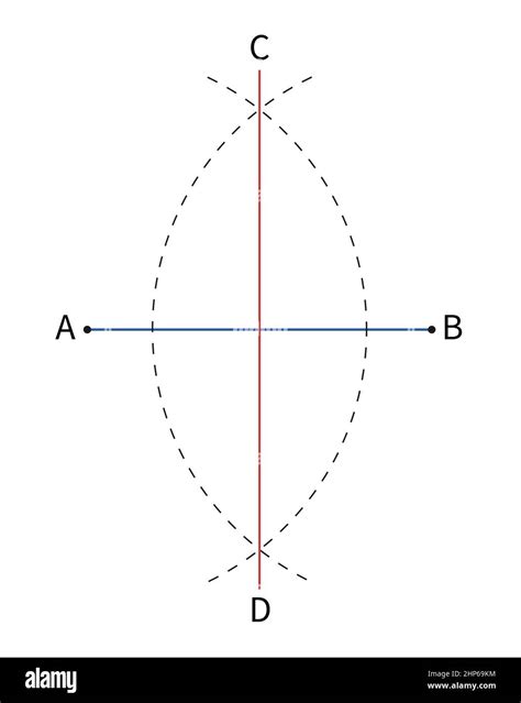 Segment Bisector Geometry