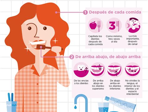 Cómo Cepillarte Los Dientes Instrucciones E Indicaciones