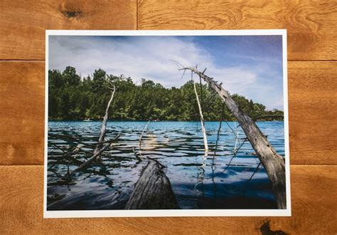 Photo Print New York Wall Art Trees Green Lakes Park Landscape